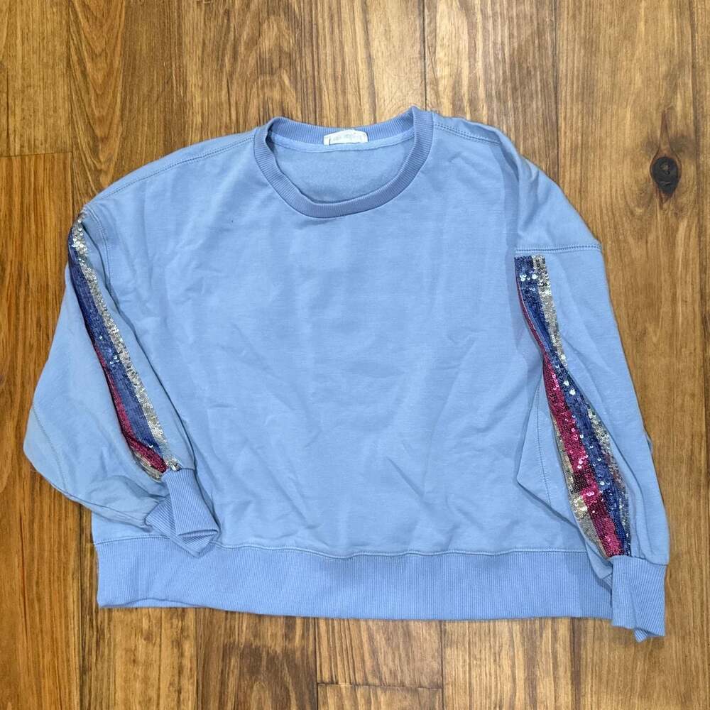 Mary Square Blue Sequin Stripe Dolman Sleeve Pullover Top